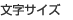 文字サイズ